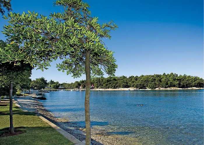 Zorna Plava Laguna بوريتش
